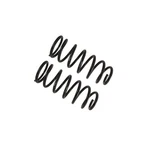 Coil Spring Set - Fits 2022 Toyota 4RUNNER Trd Pro. Fixed Price $234.09.