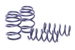 2016-2019 Ford Focus Rs H&r Lowering Spring Sport. Fixed Price $265.99.