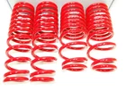 SKUNK2 519-05-1480 Lowering Springs For 92-95 Honda Civic/del Sol 2.50" 2.25". Fixed Price $229.38.
