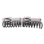 Lesjofors 4112151 Heavy Duty Front Coil Spring Kit Buick. Fixed Price $93.12.