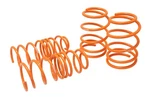 Megan Racing Lowering Springs For Hyundai Accent/kia Rio 06-10. Fixed Price $151.50.