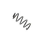 Bilstein 37-161262 B3 Oe Replacement Coil Spring. Fixed Price $55.00.