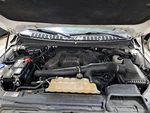 2018 Expedition Strut SKU#4412032. Fixed Price $81.70.
