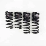 Rs-r N350TD TI2000 Down Suspension Springs For Nissan Gt-r 2009+. Fixed Price $432.07.