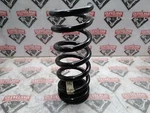 2015-2021 Ford Mustang Gt Oem Rear Suspension Coil Spring FR3C-5560-CC. Fixed Price $59.99.
