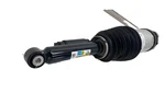 2021-2023 Tesla Model X Rear Right Air Shock Absorber Spring Strut 1620466-99-D. Fixed Price $462.85.