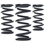 Ast Linear Race Springs 80MM Length X 20 N/mm Rate 61MM Id Set Of. Fixed Price $108.94.