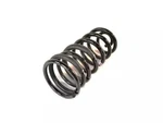 Genuine Mopar Rear Coil Spring 68091212AA. Fixed Price $288.85.