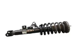 15-17 Hyundai Genesis G80 Front Right Passenger Side Shock Absorber Strut Oem. Fixed Price $110.00.