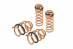 Megan Racing Lowering Springs 2013-2018 Ford Focus St. Fixed Price $193.50.