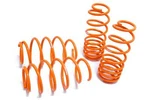 Megan Suspension Lowering Springs For 06-11 Toyota Yaris XP90 1NZ-FE All. Fixed Price $2500.00.