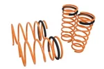 Megan Racing Lowering Springs For 90-96 Nissan 300ZX MR-LS-N300. Fixed Price $90.50.