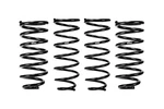 Eibach E10-55-019-01-22 Coil Spring Lowering Kit. Fixed Price $395.00.