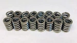 Valve SPRINGS/16 Z28 Performance Chevy Sb 283 305 327 350 400 Up To .500 Lift. Fixed Price $70.88.