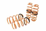 11-16 Ford Fiesta Megan Racing Lowering Coilovers Springs Set. Fixed Price $5155.00.