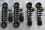Genuine Bilstein Springs For Lamborghini Huracan. Fixed Price $950.00.