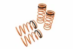 Megan Racing For 01-03 Mazda PROTEGE5 Lowering Coilovers Springs Set. Fixed Price $5155.00.