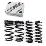 Rs-r T999D Down Sus Lowering Springs For 15-25 Lexus Rc F/16-20 USC10/URL10. Fixed Price $314.95.