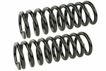 Coil Spring Set Mevotech SMS8732. Fixed Price $96.24.