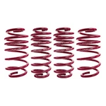 Vogtland Sport Performance Lowering Springs - Lowers Front & Rear 35MM. Fixed Price $168.43.