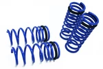 Megan Racing Coil Lowering Springs Fits GS300 GS350 GS460 2006-2012 Rwd. Fixed Price $1599.00.