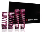 Vogtland German Lowering Springs 16 17 18 Mercedes W213 E300 Sedan Coupe 4MATIC. Fixed Price $247.45.