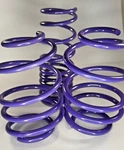 D2 Racing Pro Lowering Springs #D-SP-HN-09-1FR 1FL 1R. Fixed Price $79.95.