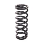 Coil Spring Aldan American 9-180BK. Fixed Price $104.63.