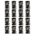 Racing Hot Rod Series Valve Spring PAC-1903-16. Fixed Price $173.90.