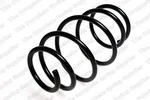 Kilen 11021 Coil Spring For Bmw. Fixed Price $58.90.