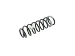 Genuine Mopar Front Coil Spring 68250229AD. Fixed Price $103.59.
