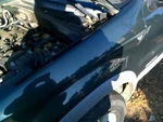Driver Left Strut Front Cylinder Fits 01-04 Escape 3241976. Fixed Price $40.00.
