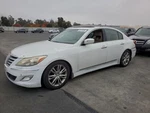 Left Rear Coil/air Spring Oem 12-14 Hyundai Genesis 1YR Wrnty 553503M910. Fixed Price $125.00.