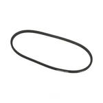 Accessory Drive Belt Continental Elite 84250. Fixed Price $18.50.