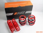 ASTLS-24-032 Lowering Springs For Subaru Wrx Sti (16-25). Fixed Price $394.50.
