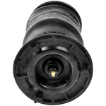 Dorman Rear Left Air Spring For Chevy Trailblazer Ext Buick Rainier. Fixed Price $168.41.