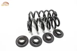 2021 2023 Polestar Awd Rear Left & Right Side Coil Spring Oem -set-. Fixed Price $71.49.