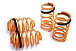Megan Racing Suspension Lowering Springs For 03-07 Saturn Lsj LE5 L61 All. Fixed Price $2400.00.