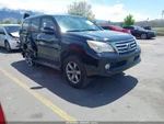 Left Rear Coil/air Spring Oem 10-23 Lexus GX460 1YR Wrnty 4809060020. Fixed Price $125.00.