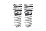 Eibach Springs E30-27-006-02-02 Pro-lift-kit (rear Only). Fixed Price $325.00.