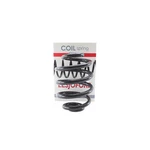Lesjofors 4208435 Rear Coil Spring Bmw. Fixed Price $60.17.
