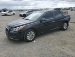 Left Rear Coil/air Spring Oem 16-19 Hyundai Sonata 1YR Wrnty. Fixed Price $125.00.