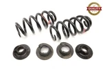 2020 - 2025 Ford Explorer Rear Left & Right Side Coil Spring Set Oem LB5C5560CE. Fixed Price $119.99.