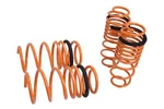 Megan Racing Suspension Lowering Springs 11-UP Ford Fiesta Mk Vi 5 Fwd. Fixed Price $2400.00.