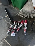 Truhart Street Plus Coilovers Lowering Suspension Kit For Toyota Corolla 03-08. Fixed Price $600.00.