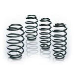 Eibach Pro-kit Lowering Springs E10-15-021-12-22 For Audi A3. Fixed Price $355.00.