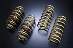 Tein High.tech Lowering Springs SKSA0-G1B00. Fixed Price $328.46.
