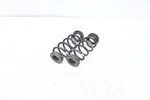 Rwd Rear Left & Right Suspension Coil Spring Oem Alfa Romeo Giulia 2017-2025. Fixed Price $57.39.
