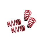 Megan Racing Performance Euo Version Lowering Springs Audi A4 Fwd 02-05 New. Fixed Price $131.25.