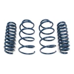 Dinan Coil Springs D100-0925;. Fixed Price $416.39.